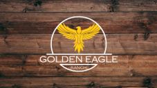 Golden-Eagle-2023-128